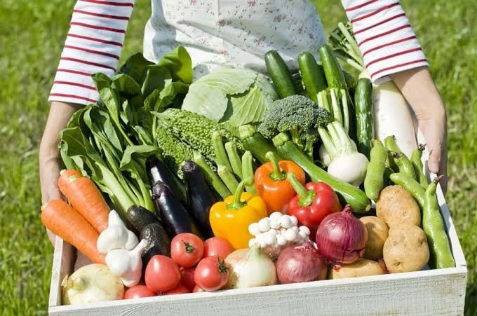 Functional Nutrition Certification Programs